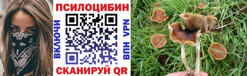 Галлюциногенные грибы GOLDEN TEACHER  Богородицк 