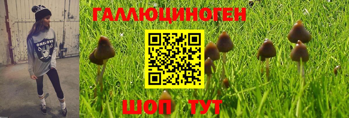 Галлюциногенные грибы ЛСД  Богородицк 