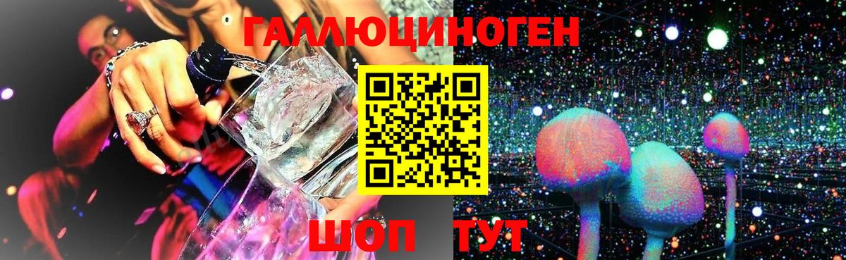 Галлюциногенные грибы Psilocybine cubensis Богородицк