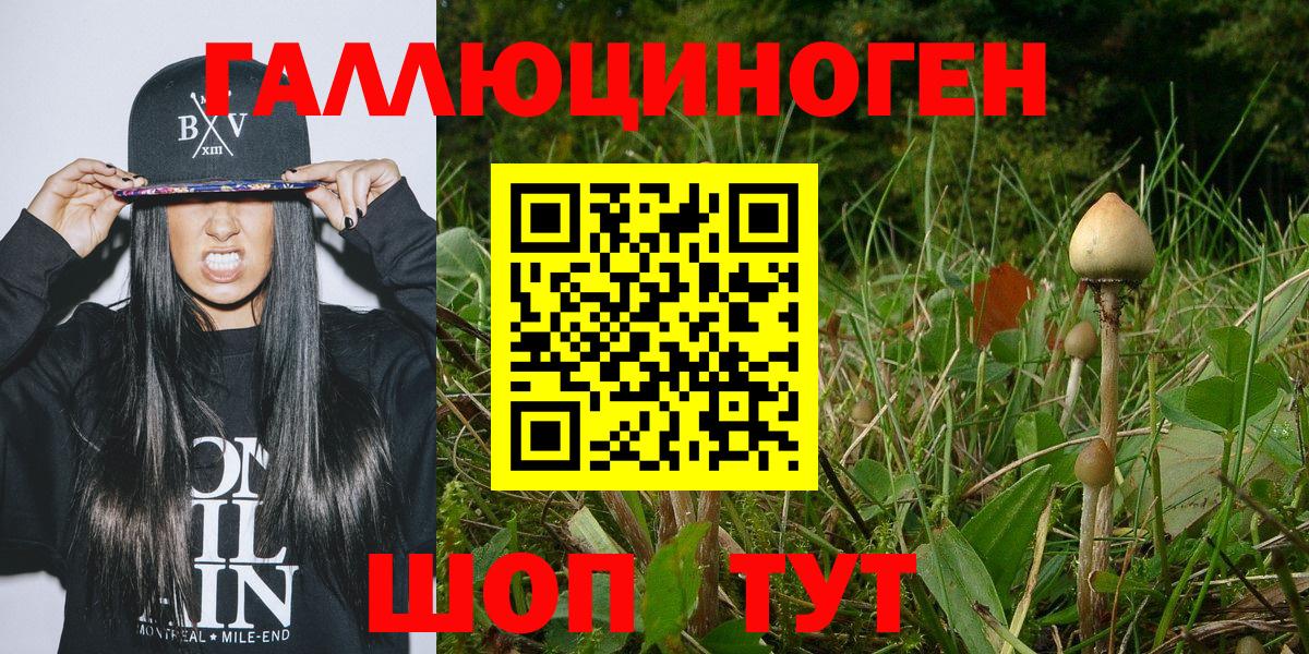 Псилоцибиновые грибы ЛСД Богородицк