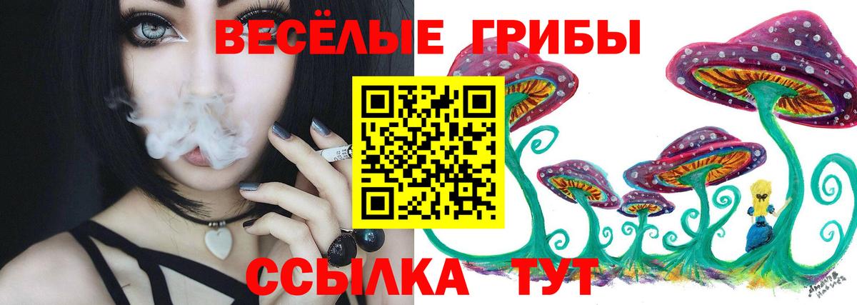 Галлюциногенные грибы Magic Shrooms  Вход с VPN  Богородицк 