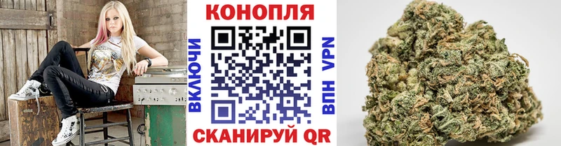 Бошки Шишки сатива  мориарти телеграм  Богородицк 